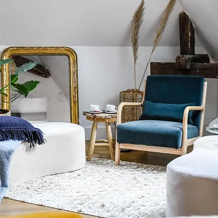 La Maison De Reina 4* Troyes