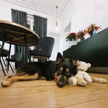 Frühstückspension La Maison De Reina Troyes