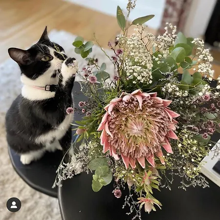 Frühstückspension La Maison De Reina