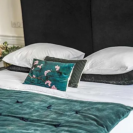 La Maison De Reina Bed & Breakfast Troyes