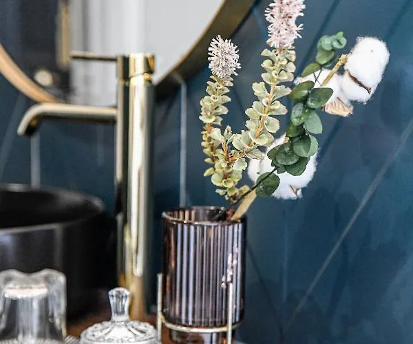 La Maison De Reina Bed & Breakfast Troyes